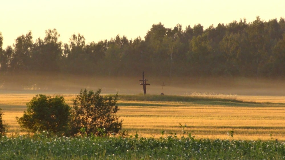 The grounds