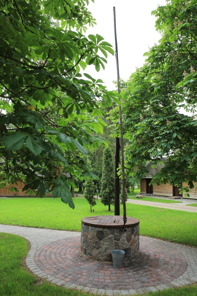 The grounds
