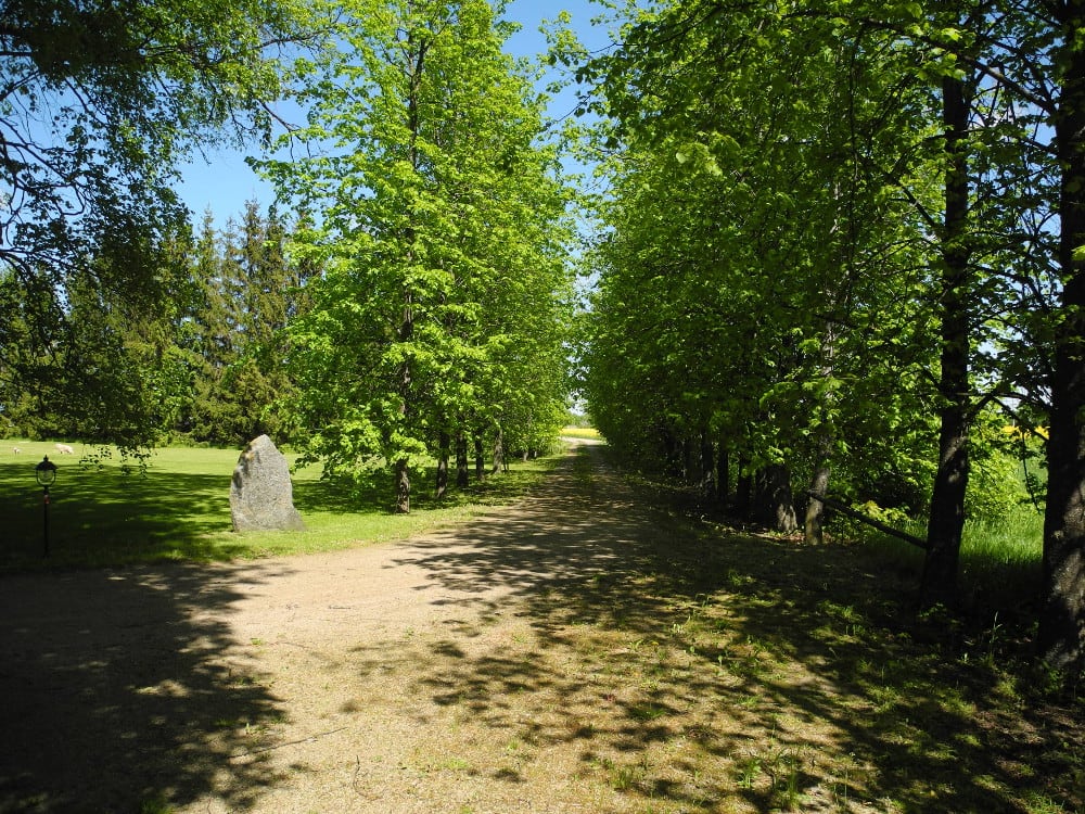 Kelias į Ruslių sodybą