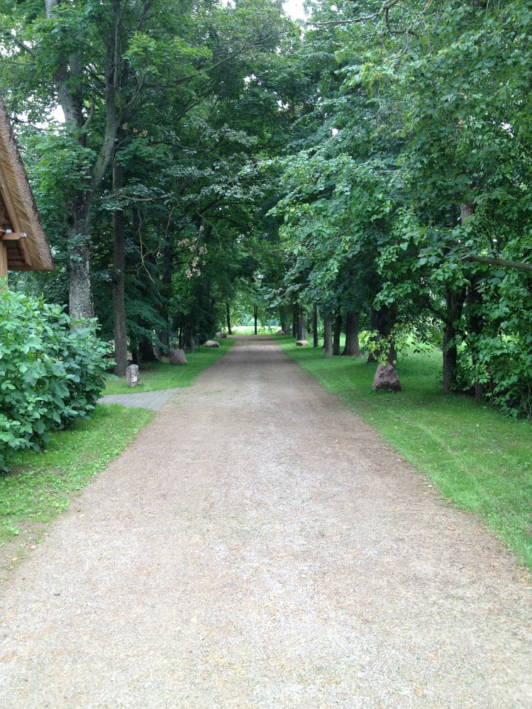 The grounds
