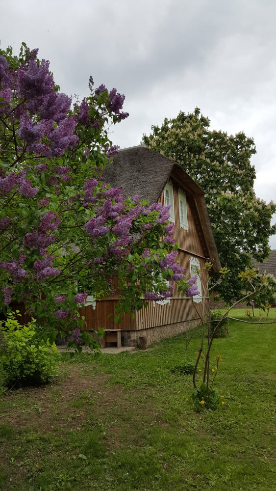 The grounds