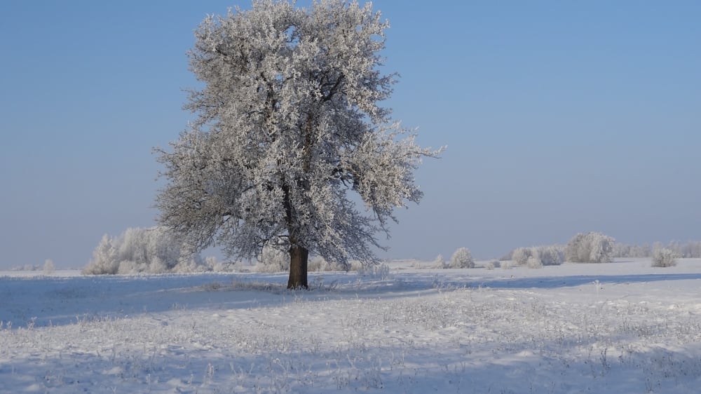 Winter atmosphere