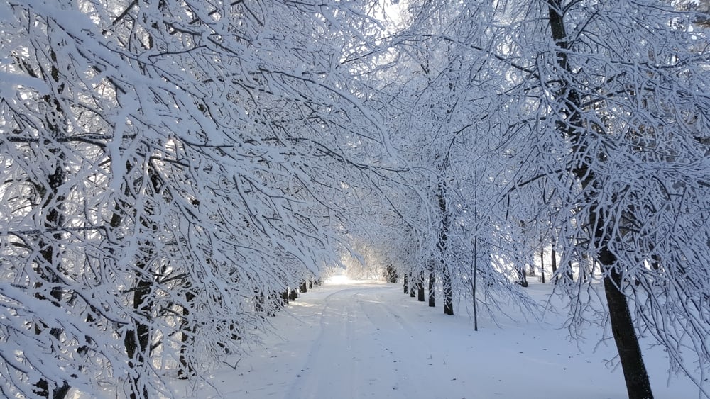 Winter atmosphere